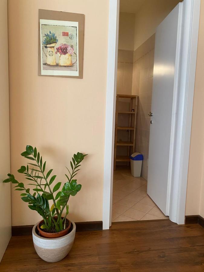 Sogni E Colori Bed & Breakfast Villanova d'Albenga Exterior photo